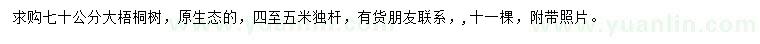 求購(gòu)70公分大梧桐樹(shù)
