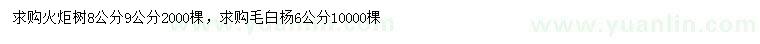 求購(gòu)8、9公分火炬樹(shù)、6公分毛白楊