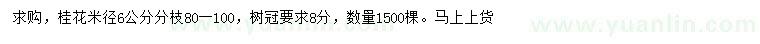求購米徑6公分桂花
