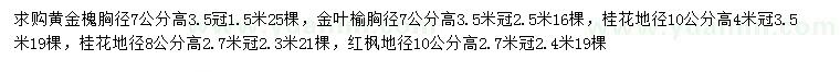 求購黃金槐、金葉榆、桂花等