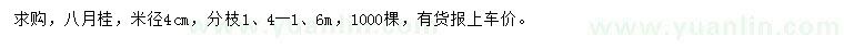 求購(gòu)米徑4公分八月桂