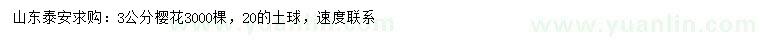 求購(gòu)3公分櫻花