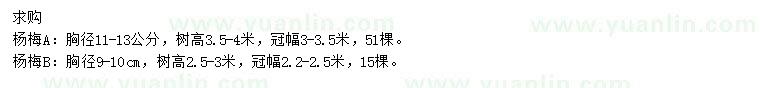 求購胸徑9-10、11-13公分楊梅
