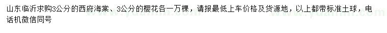 求購3公分西府海棠、櫻花