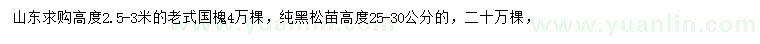 求購高2.5-3米老式國槐  、高25-30公分純黑松苗