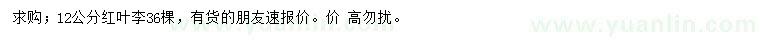 求購12公分紅葉李
