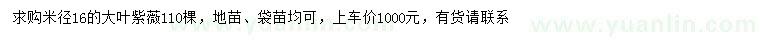 求購米徑16公分大葉紫薇
