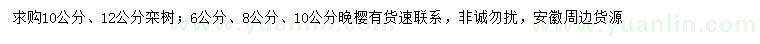 求購10、12公分欒樹、6、8、10公分晚櫻