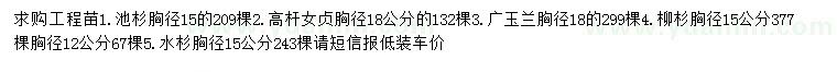 求購池杉、高桿女貞、廣玉蘭等