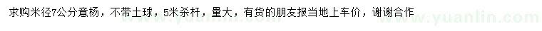 求購米徑7公分意楊