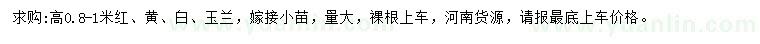 求購高0.8-1米紅、黃、白、玉蘭