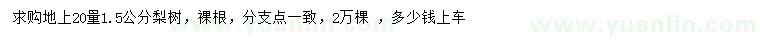 求購地上20量1.5公分梨樹