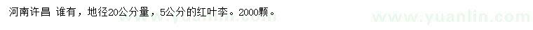 求購地徑20公分量5公分紅葉李