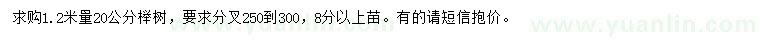求購1.2米量20公分櫸樹