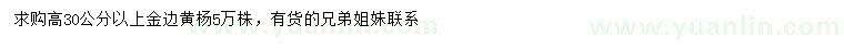 求購高30公分以上金邊黃楊