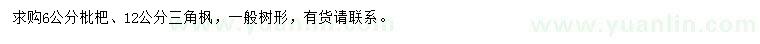 求購6公分枇杷、12公分三角楓