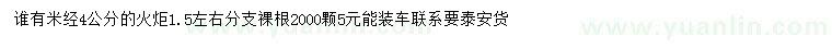 求購米徑4公分火炬