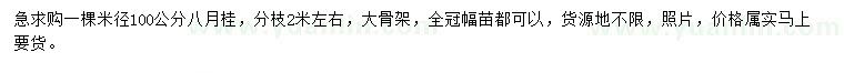 求購米徑100公分八月桂
