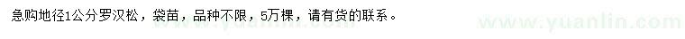 求購(gòu)地徑1公分羅漢松