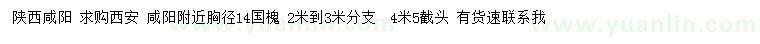 求購胸徑14公分國槐