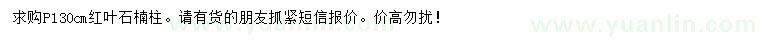 求購冠幅130公分紅葉石楠柱