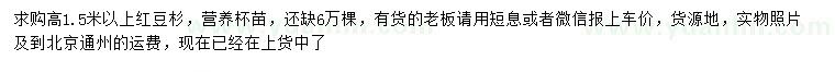 求購高1.5米以上紅豆杉