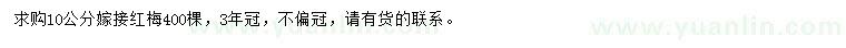 求購10公分嫁接紅梅