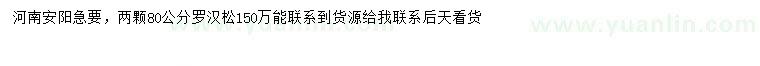 求購(gòu)80公分羅漢松