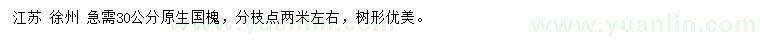 求購30公分原生國槐