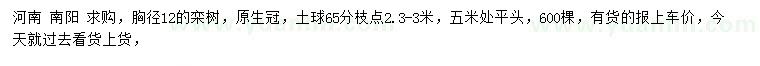 求購胸徑12公分欒樹
