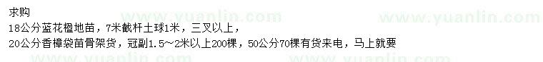 求購18公分藍花楹、20、50公分香樟