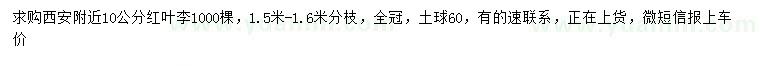 求購10公分紅葉李