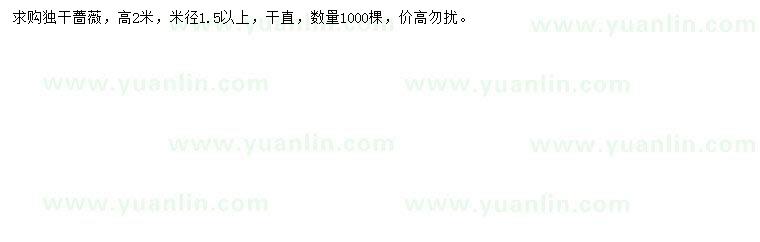 求購高2米薔薇