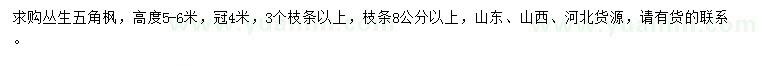 求購高度5-6米叢生五角楓