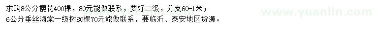 求購(gòu)8公分櫻花、6公分垂絲海棠