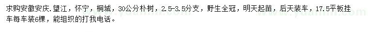 求購30公分樸樹