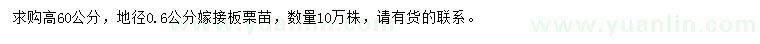 求購高60公分嫁接板栗苗