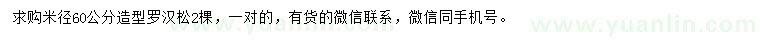 求購(gòu)米徑60公分造型羅漢松