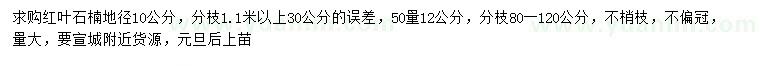 求購地徑10、50量12公分紅葉石楠