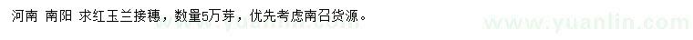 求購紅玉蘭接穗