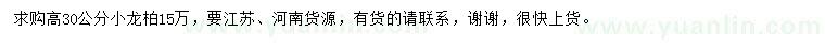求購高30公分小龍柏