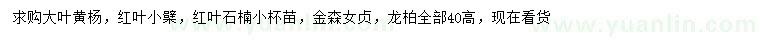 求購大葉黃楊、紅葉小檗、紅葉石楠等