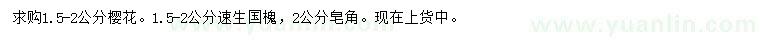 求購櫻花、速生國槐、皂角