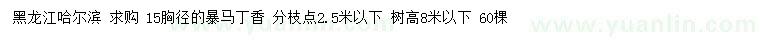 求購(gòu)胸徑15公分暴馬丁香