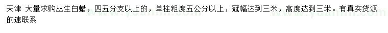 求購冠幅3米以上叢生白蠟
