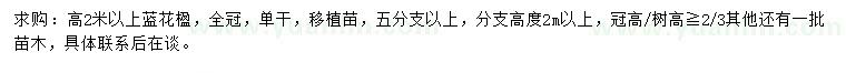 求購(gòu)高2米以上藍(lán)花楹