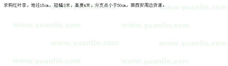 求購地徑15公分紅葉李
