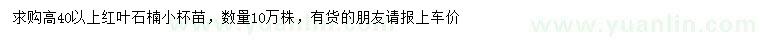 求購(gòu)高40公分以上紅葉石楠苗