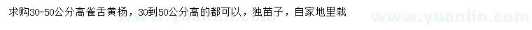 求購高30-50公分雀舌黃楊