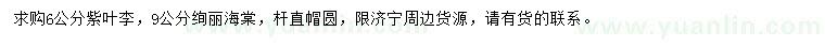 求購6公分紫葉李、9公分絢麗海棠